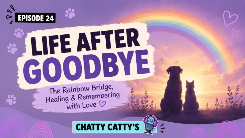 Coping with Cat Loss: Laughter and Tears