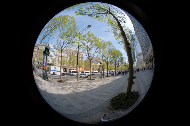 DSCF9098.jpg