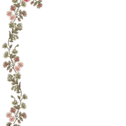 79.png