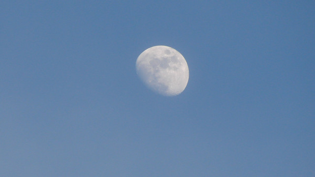 DSC04617.jpg