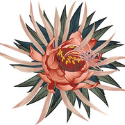 016