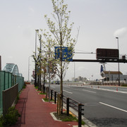 2010-04-29-12