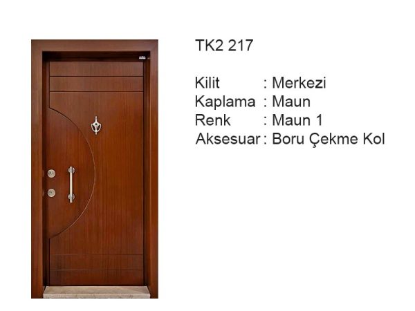 Steel door TK2 217