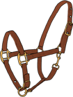 riim1