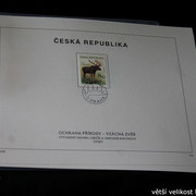 IMG-2182
