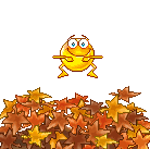 fall002