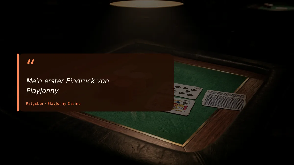 Mein erster Eindruck von PlayJonny