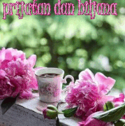 oie-k0-RZqn-Yl-K2-Ns