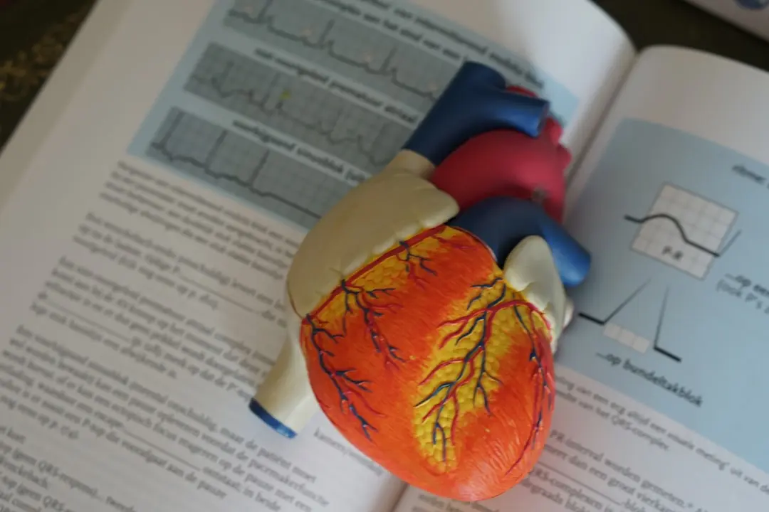 Lipoprotein(a): The Hidden Cholesterol Risk