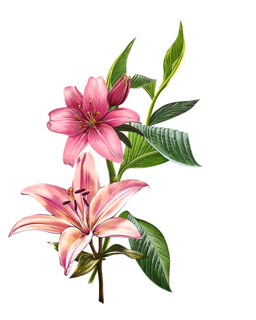shutterstock 1531325204.jpg