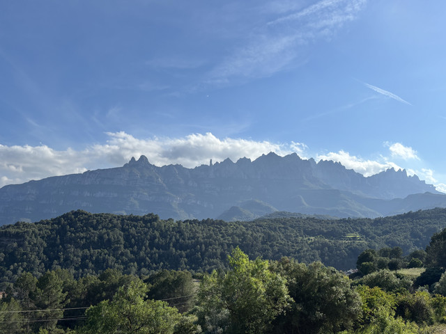 IMG-1788