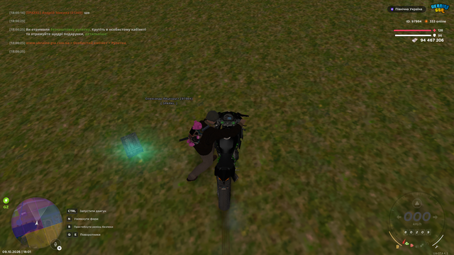 image 31