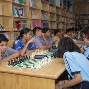 IMG 0243