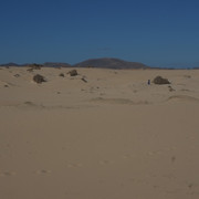 DSCF8571