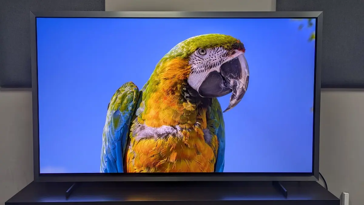 Samsung’s S99H OLED TV Sets New Performance Bar Despite Polarizing Design
