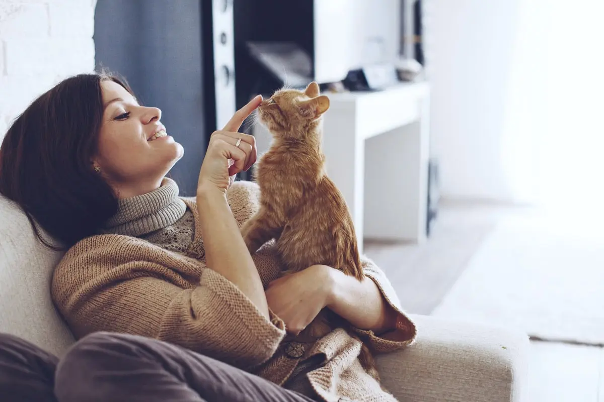 What Your Cat is Trying to Tell You When it Grooms You