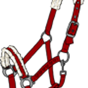 riimu6 4
