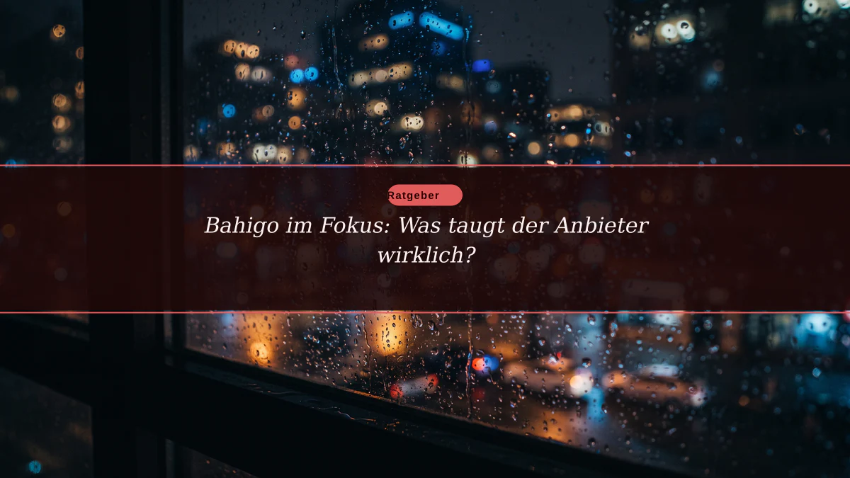 Bahigo im Fokus: Was taugt der Anbieter wirklich?