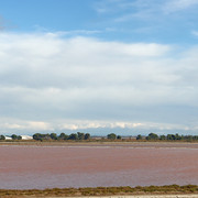 IMG-2977