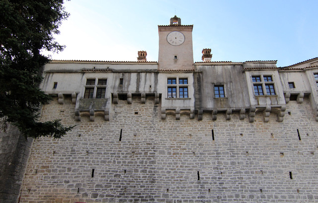 IMG-9643.jpg