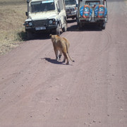 DSC02190