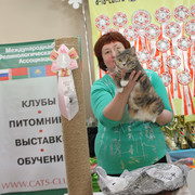IMG-6158