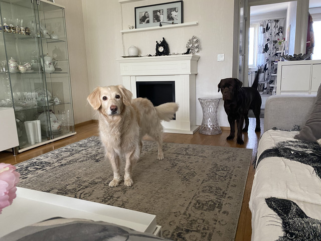 58-DC7-EF5-CECF-4-D0-E-9-CDC-6-C0-AB4260