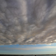 IMG-2139