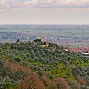 IMGP0945