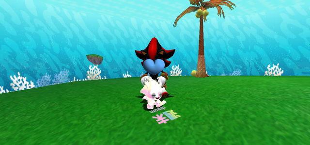 Pet-pet.png