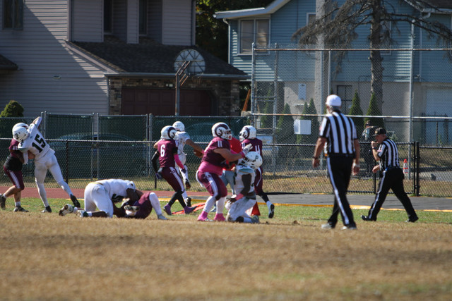 IMG-8238.jpg