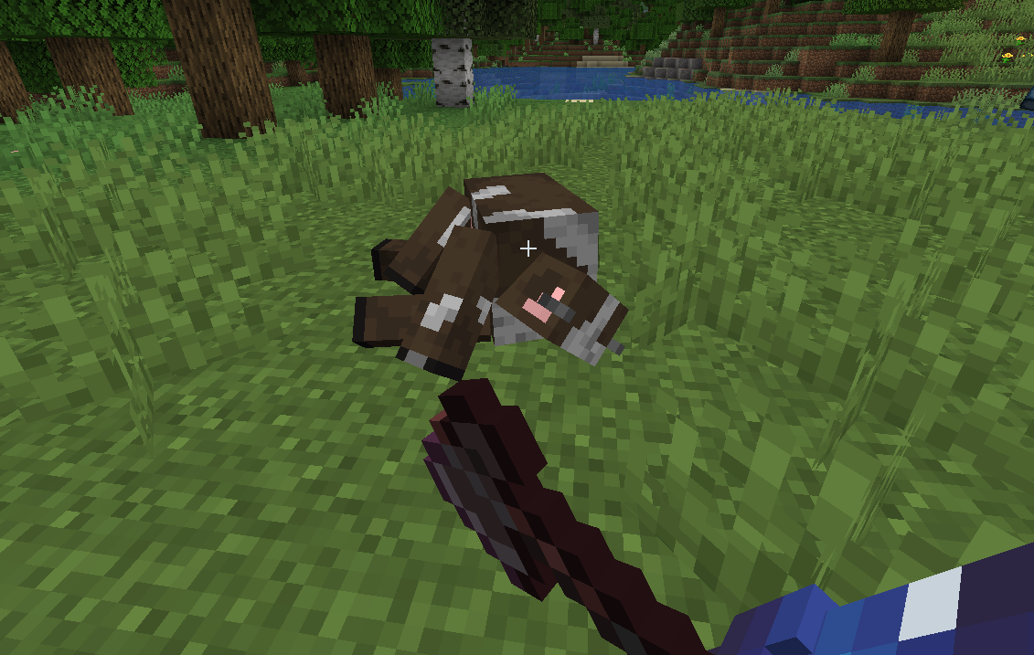 A ragdoll of a cow