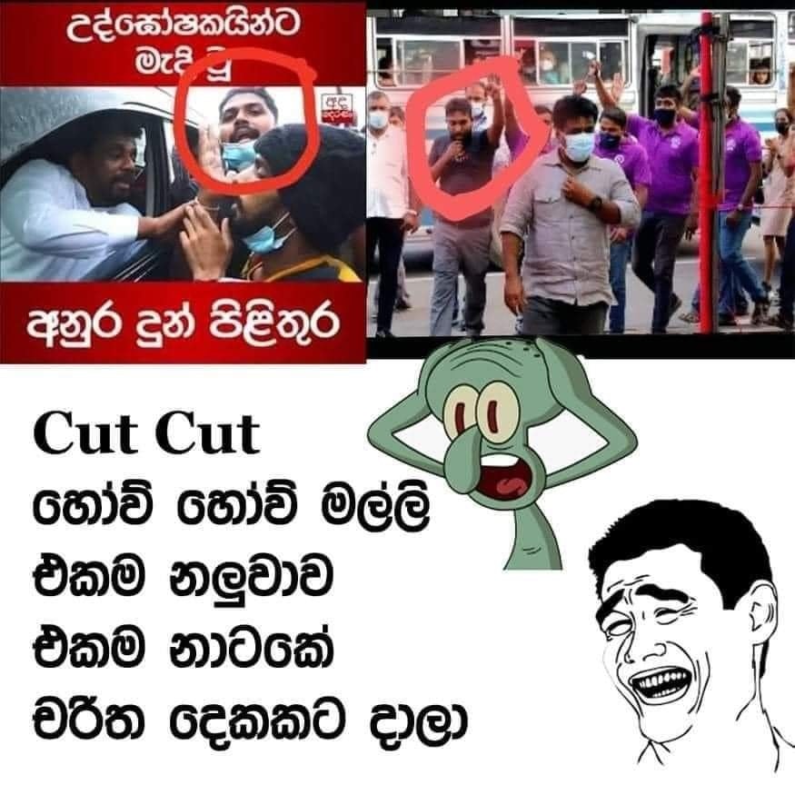 55.jpg