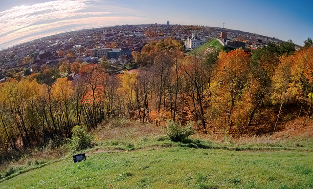 P1013224-E.jpg