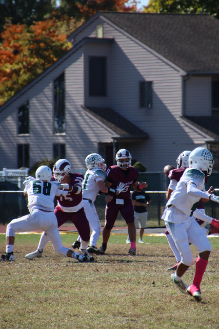 IMG-3268