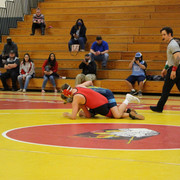 IMG-0731