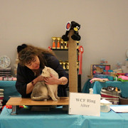 IMG-7185