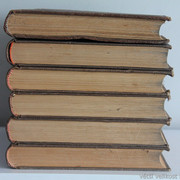 IMG-7388