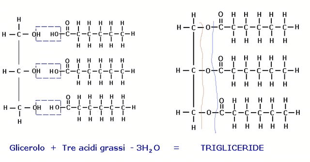 triacil