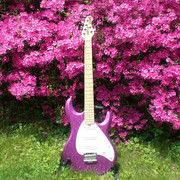 CIMG0801