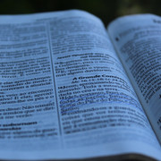 IMG-6306