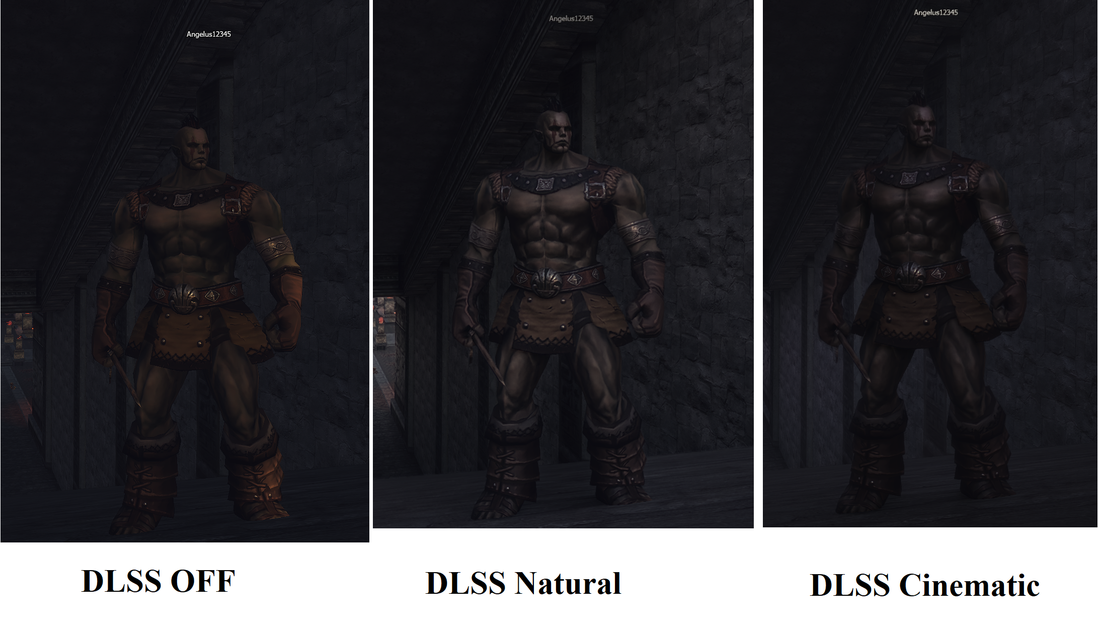 Dl-SS-lu4-3.png