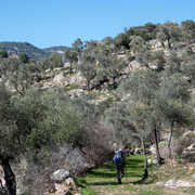 P1040663 (2)