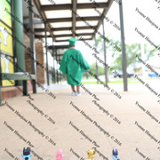 IMG 3978