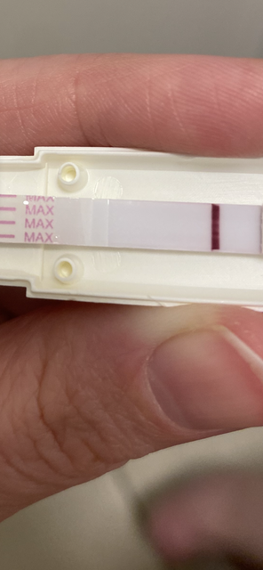 IMG-4538