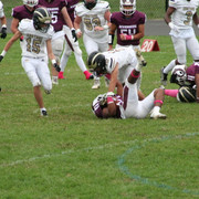IMG-8118