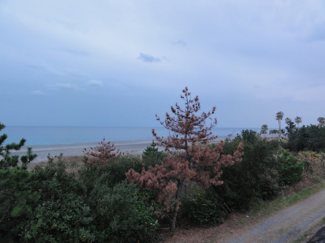 2010-12-11-059.jpg