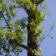 DSC3863