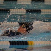IMG-0071