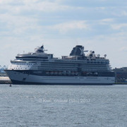 IMG-6910